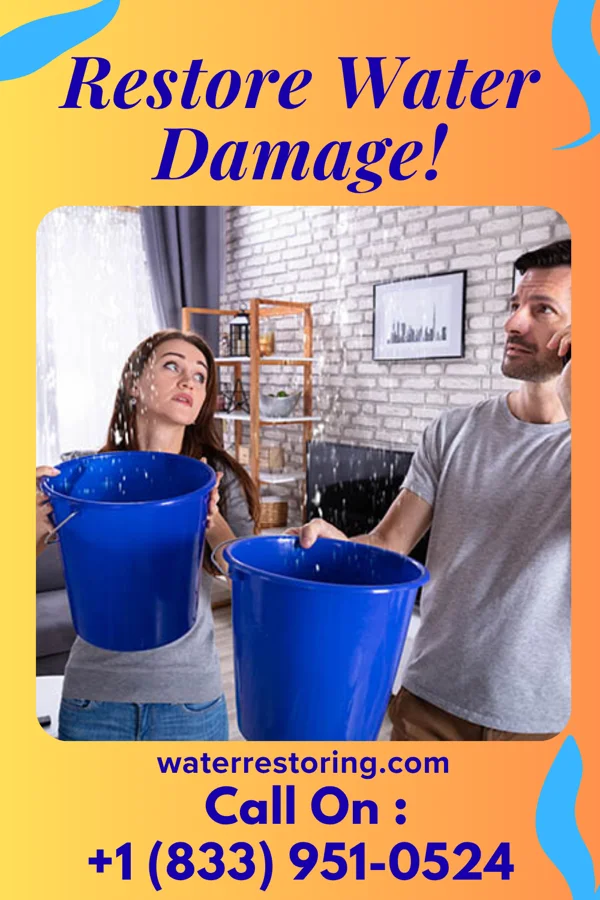 water restoration Precision Water Damage Brothers Waimanalo Beach