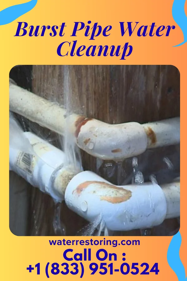 Burst Pipe Water Cleanup in Waimanalo Beach, HI