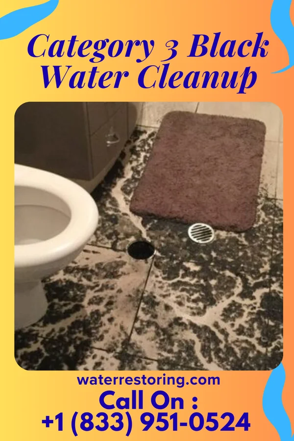 Category 3 Black Water Cleanup in Waimanalo Beach, HI
