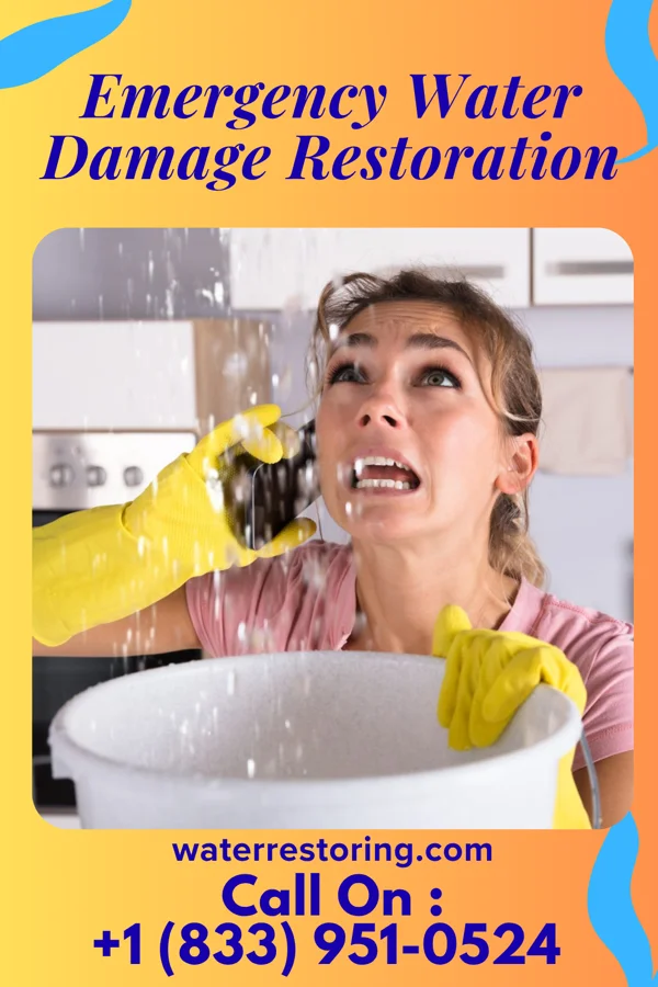 Emergency Water Damage Restoration in Waimanalo Beach, HI