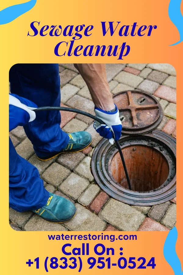 Sewage Water Cleanup in Waimanalo Beach, HI